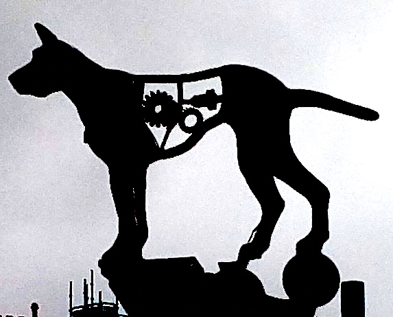 dog